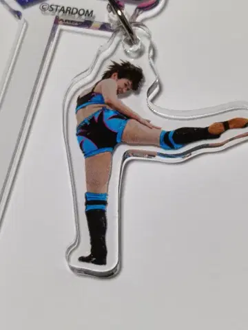 [사쿠라아야] 토키와테이 STARDOM 스타덤 콜라보 마들러