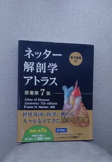 미사용 새상품 넷터 해부학 아틀라스 [전자책 포함] (원서 제7판)