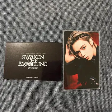 K군 AWAKEN THE BLOODLINE 포토 카드