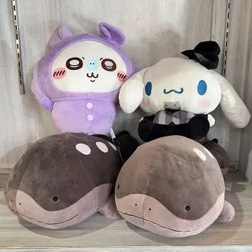 도오 x 2 치이카와 모몽가 시나모롤