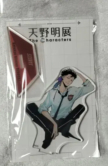 가정교사 히트맨 REBORN! 아마노 아키라 전시회 아크릴 스탠드 잔저스