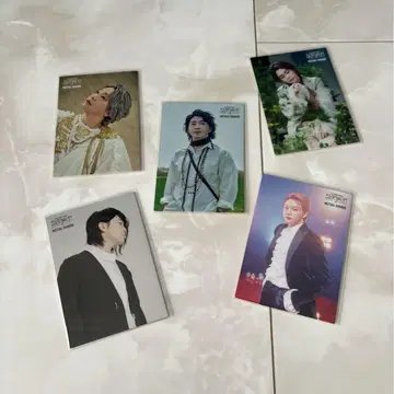 Mrs. GREEN APPLE 오오모리 모토키 바벨 포토 카드