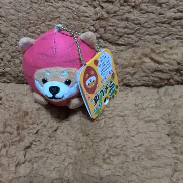 여행하는 마메시바 나루토킨토키