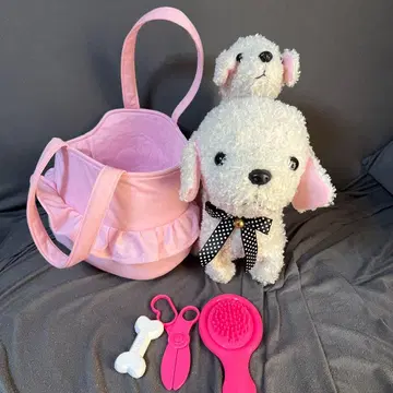 코코 사가다치해! 더! 나카요시 세트