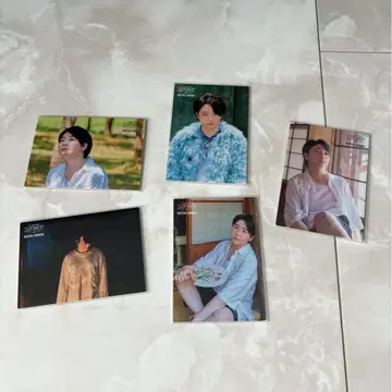 오오모리 모토키 바벨 포토 카드 5장 세트