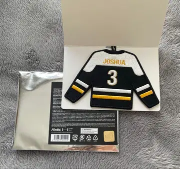 SEVENTEEN HOME 2025 와펜 키링 조슈아