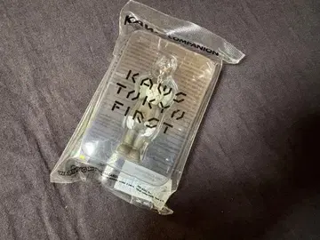 KAWS COMPANION 투명 피규어 약 10cm