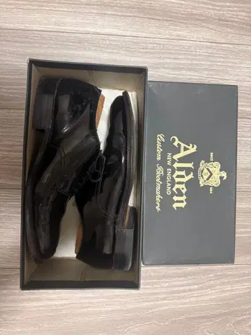 ALDEN 53717 플레인토 페이턴트 8 1/2 D