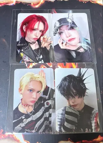 XLOV hellolive 트레이딩 카드 4장 세트