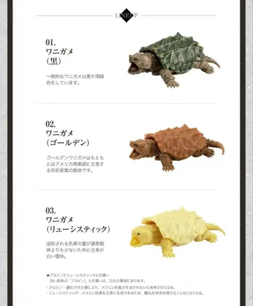 생물대도감 악어거북 03 피규어 세트 3종 컴플리트