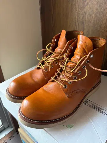 레드윙 아이리쉬 세터 9871