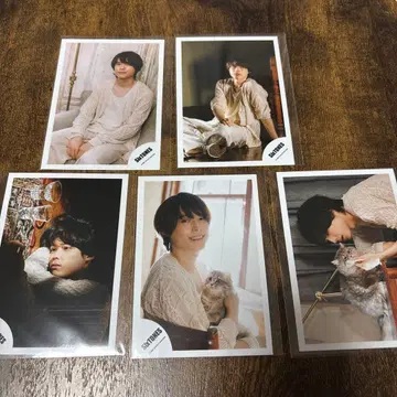 SixTONES 공식 사진 고양이 두 사람 마츠무라 호쿠토 5장