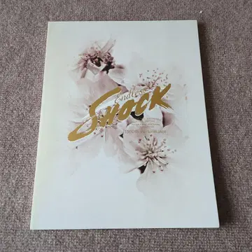 Endless SHOCK 팜플렛 2017 테라니시 타쿠토 마츠다 겐타