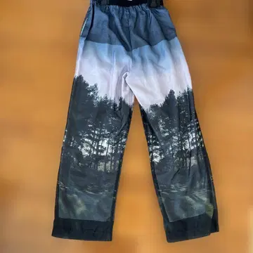 야마다야 RADIATE 풍경 프린트 캐주얼 팬츠 F 사이즈