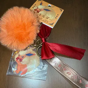 이브이 컬렉션 부스터 키링