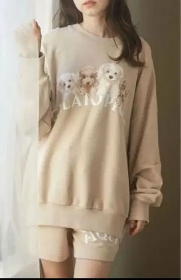 상하의 세트 셋업 토이 푸들 쭈리 풀오버 젤라또피케