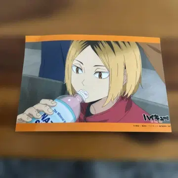 가격 인하 가능 하이큐!! 엽서