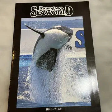 카모가와 씨 월드 팜플렛