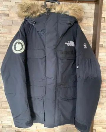 THE NORTH FACE SUMMIT SERIES 다운 자켓 XL