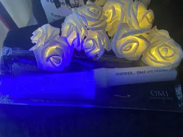 토사카 히로오미 응원봉과 비닐 백 포함