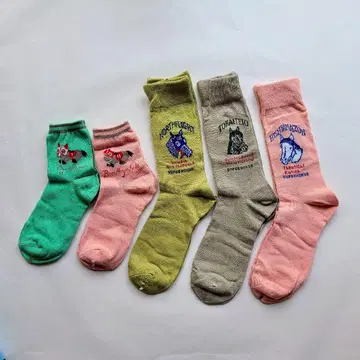 슈퍼호스 Collection 양말 5켤레 세트 경주마 삭스