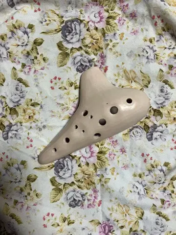 오카리나 이안 AC