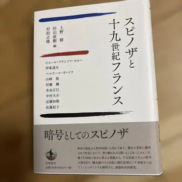 스피노자와 19세기 프랑스