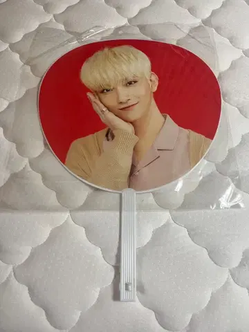 조슈아 부채 Carat Camp 조슈아