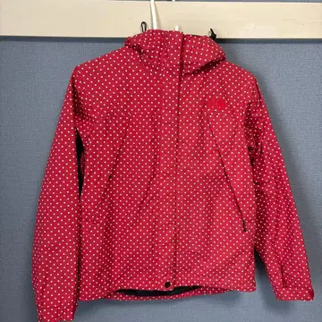 THE NORTH FACE 빨간색 도트 마운틴 후드티 s