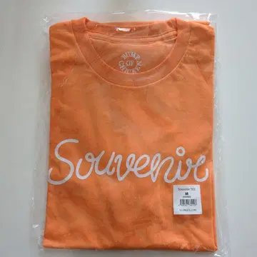 BUMP OF CHICKEN Souvenir TEE M 사이즈 오렌지