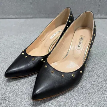 DIANA G15277 스터드 포인트 펌프스