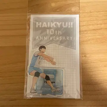 하이큐!! 10주년 기념 아크릴 스탠드 히루가미 코우로