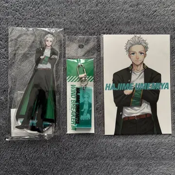 WIND BREAKER전 우메미야 잇세이 세트