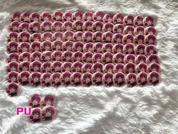 이레이스 나이코 캔뱃지 화조풍월 103개