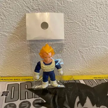 드라케시 채색 베지터