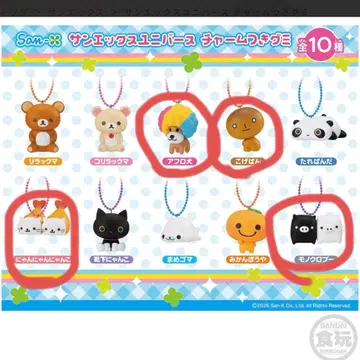 산엑스 유니버스 참 포함 구미 아프로견 코게빵