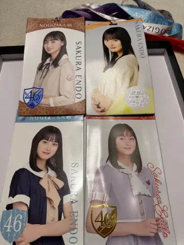 엔도 사쿠라 노기자카46 티켓 홀더 묶음 판매