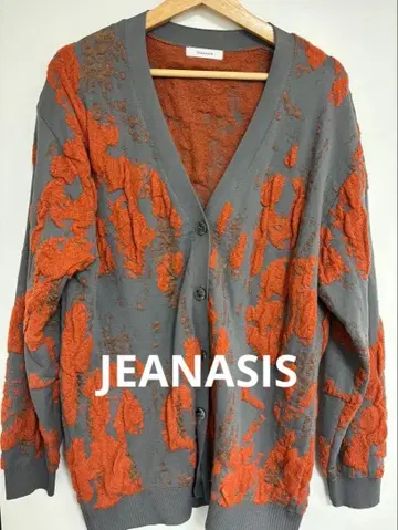 JEANASIS 플로트 자카드 패턴 V 가디건