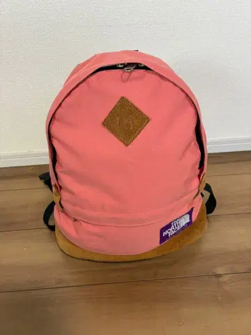 THE NORTH FACE 핑크 백팩