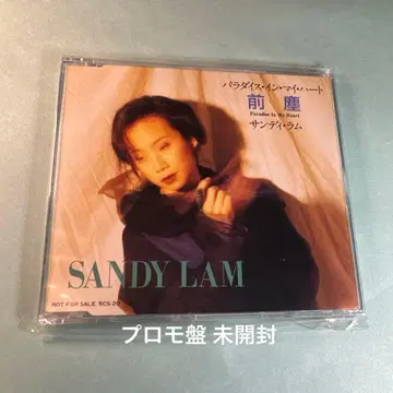 샌디 라무 SANDY LAM / 파라다이스 인 마이 하트