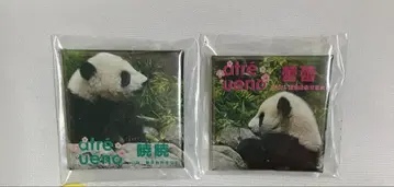 샤오샤오 레이레이 배지 팬더 아토레 우에노 동물원