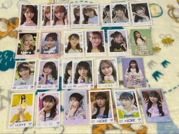 이코러브 묶음 판매