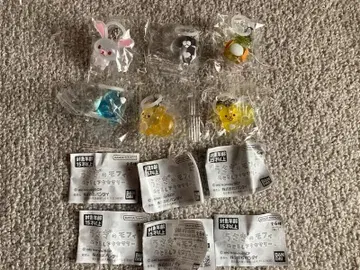 토끼 모피 메지루시 액세서리 가챠 컴플리트 6종 새상품 즉시 결제