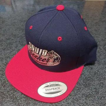 밸리힐 SQUID Seeker 25th ANNIVERSARY 캡