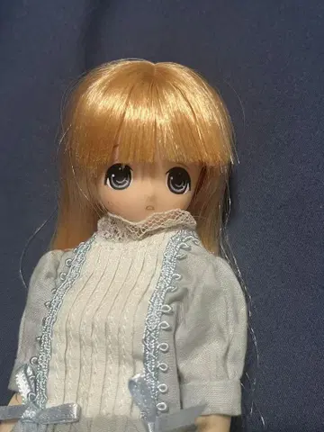 엑스 큐트 치이카 퓨어니모 아존