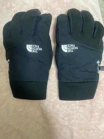 THE NORTH FACE GORE-TEX 방한 장갑