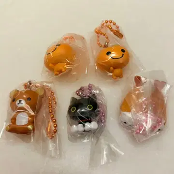 산엑스 유니버스 참 포함 구미 5세트