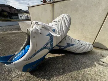 모렐리아 네오 4 한정 컬러