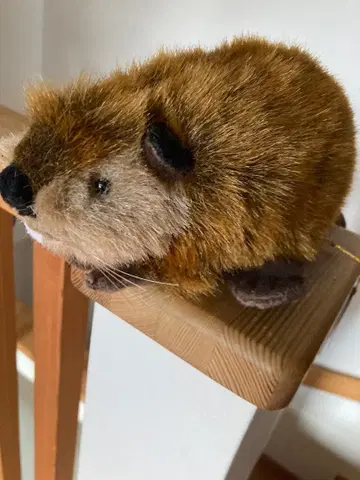 SUPER BEAVER 비버 봉제 인형 약 15cm