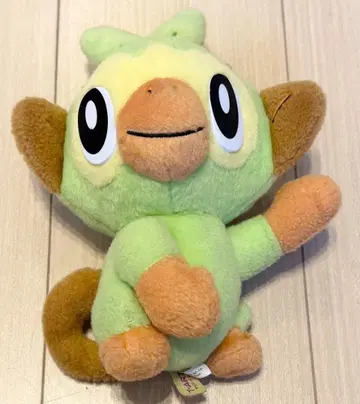 포켓몬 인형 사회자 일본 정품